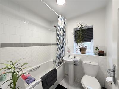 Picture 17